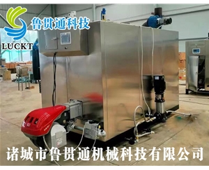 1噸燃氣（油）蒸汽發(fā)生器 現(xiàn)貨供應(yīng)，工廠直銷，規(guī)格型號眾多，可來電咨詢